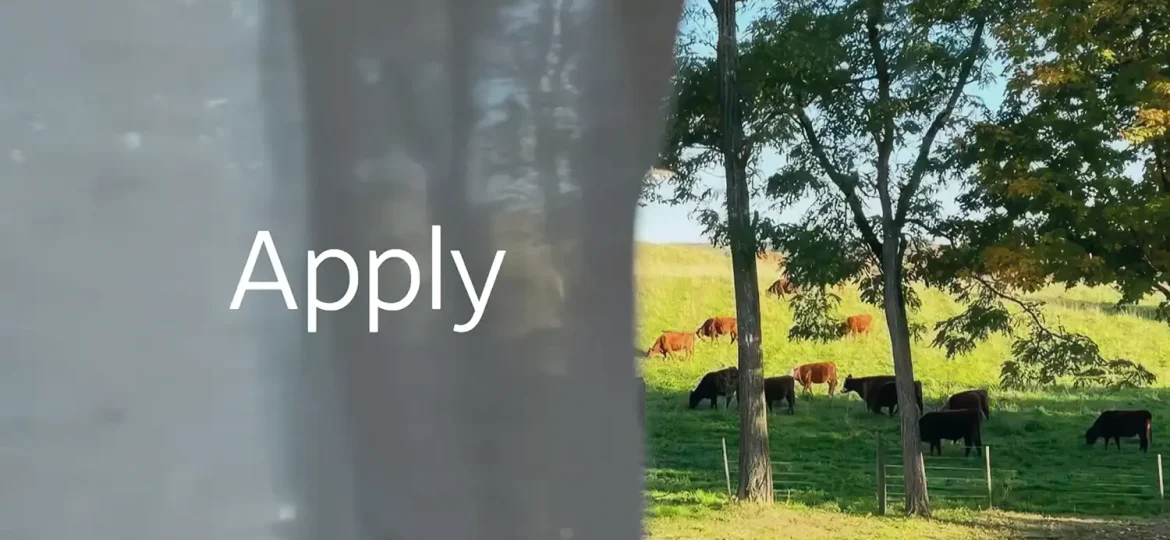 InterludeArtistResidencyApply-1